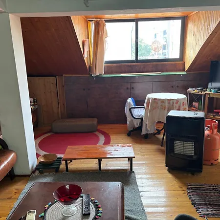 Cozy Loft, Located In Debar Maalo Apartment *